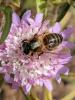 364246 – Photo : bernard evrad – Espagne